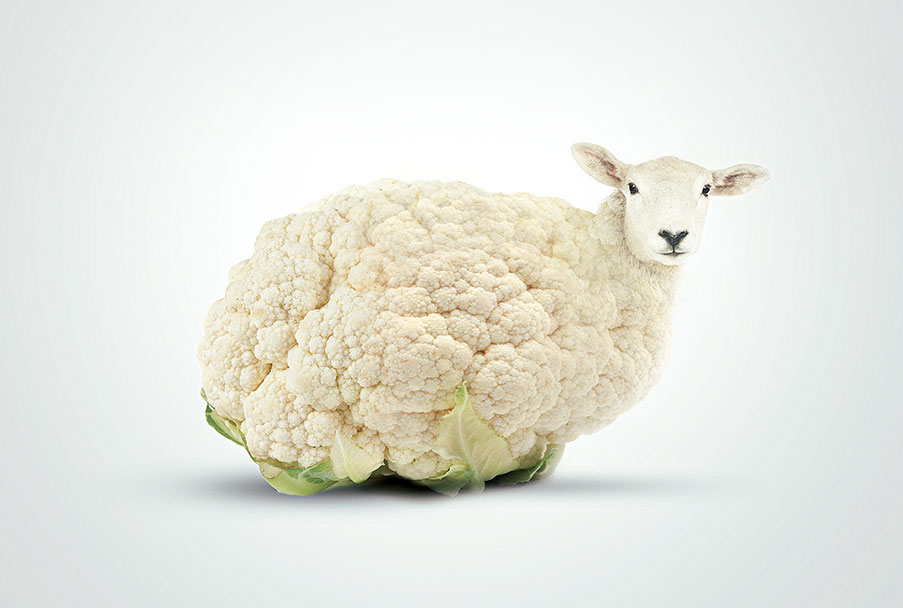 Illusion mouton/chou-fleur